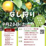 イベント